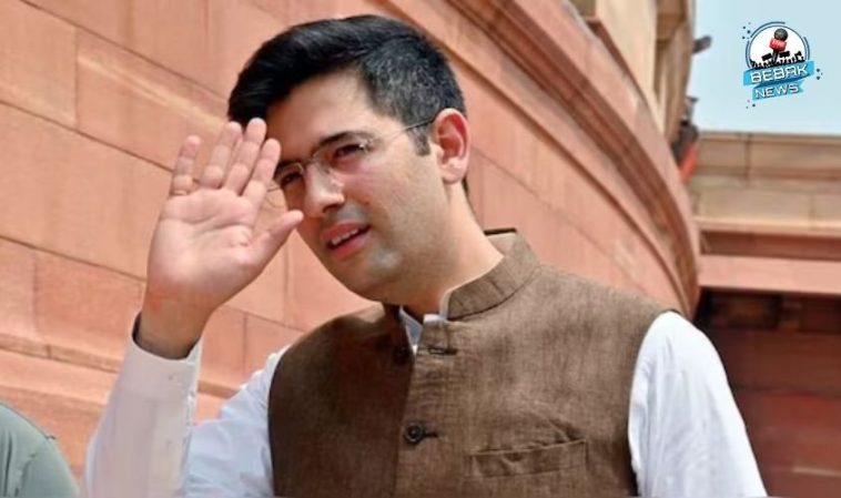 Raghav Chadha, CM Arvind Kejriwal, Delhi