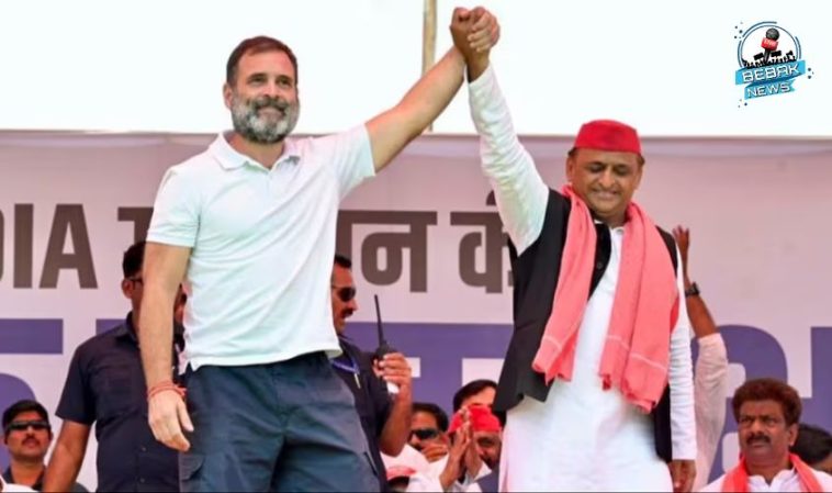 Lok Sabha Election 2024, Up, Rahul Gandhi, Akhilesh Yadav